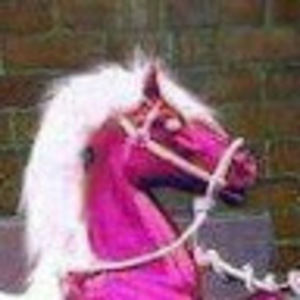 Meet your Posher, Kittenlady